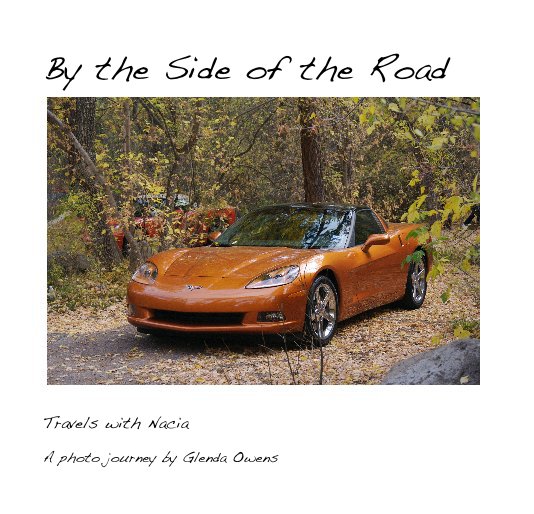 Visualizza By the Side of the Road di A photo journey by Glenda Owens