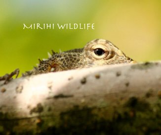 Mirihi Wildlife book cover