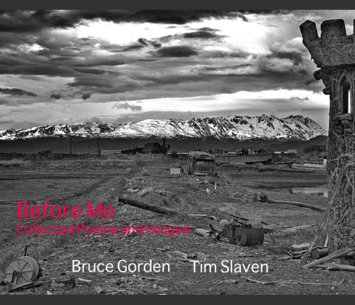 View Before Me by Tim Slaven   Bruce Gordon