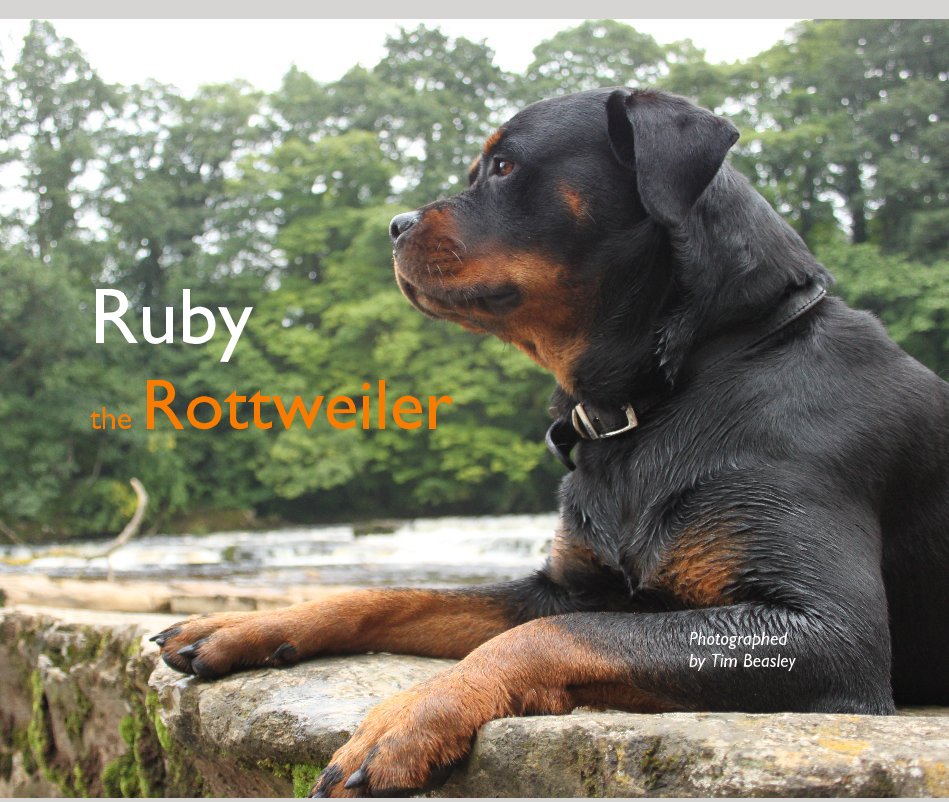 View Ruby the Rottweiler by Photographed by Tim Beasley