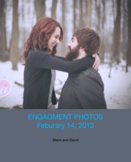 ENGAGMENT PHOTOS 
Feburary 14, 2013 book cover