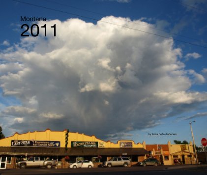 Montana 2011 book cover