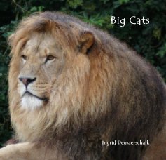 Big Cats book cover