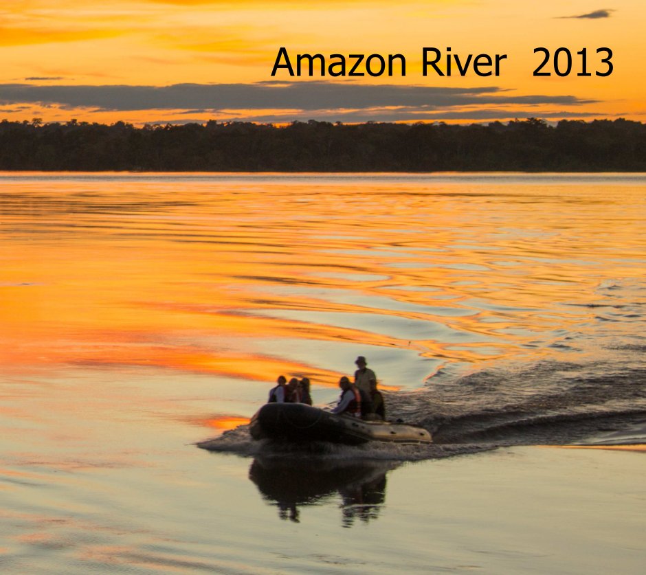 View Amazon River  2013 by Jerry Held