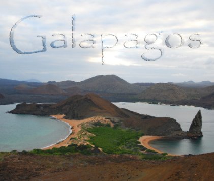 Galapagos 2008 book cover