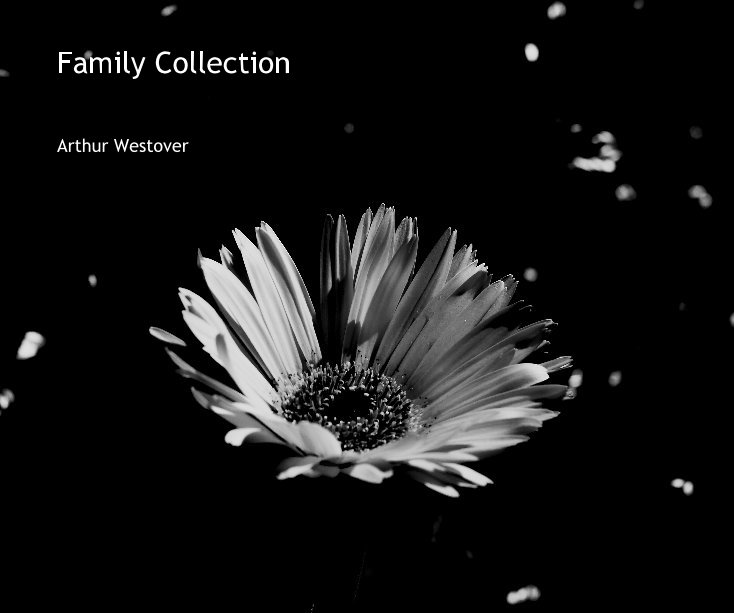 View Family Collection by Arthur Westover