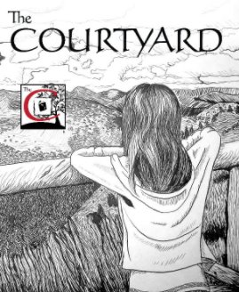 The Courtyard 2013 book cover