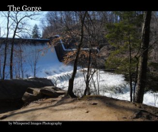 The Gorge book cover