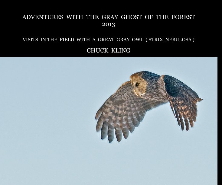 Ver ADVENTURES WITH THE GRAY GHOST OF THE FOREST 2013 por CHUCK KLING
