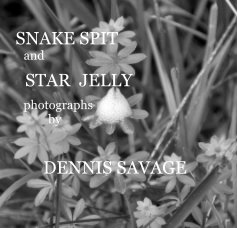 SNAKE SPIT and STAR JELLY photographs by DENNIS SAVAGE book cover