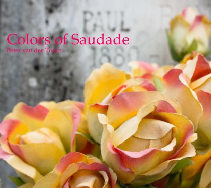 Colors of Saudade book cover