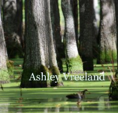 Ashley Vreeland book cover