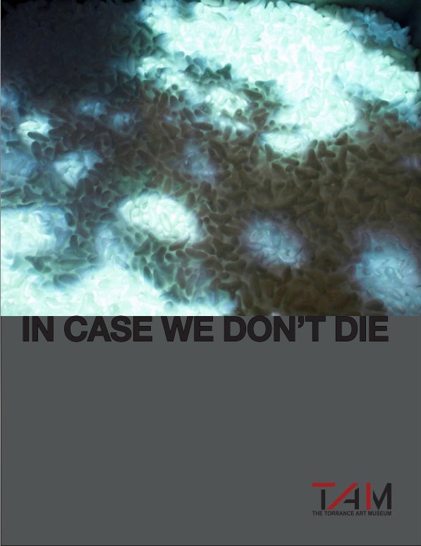 Ver In Case We Don't Die / Software por Torrance Art Museum
