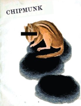 Chipmunk book cover