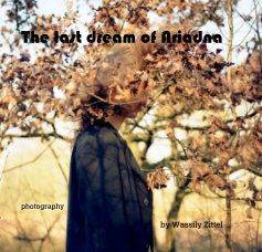 The last dream of Ariadna book cover