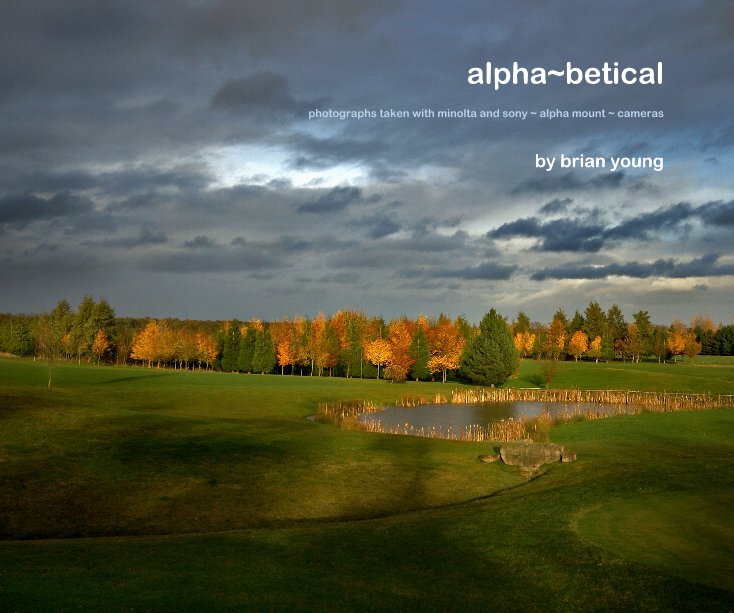 View alpha~betical by brian young