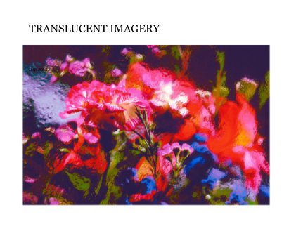 TRANSLUCENT IMAGERY book cover