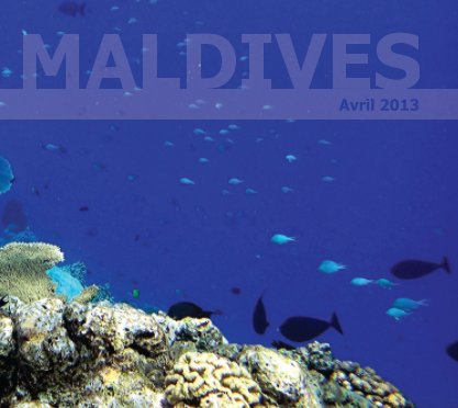 Maldives book cover
