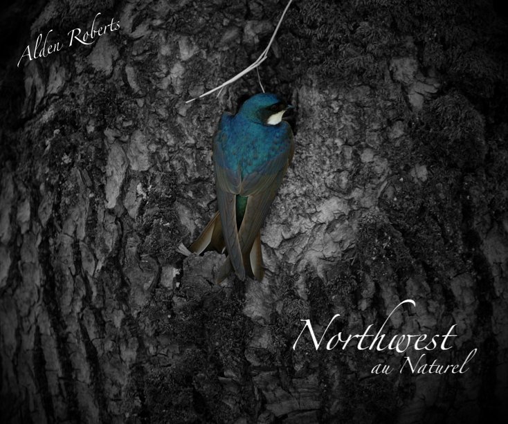 View Northwest au Naturel by Alden W. Roberts