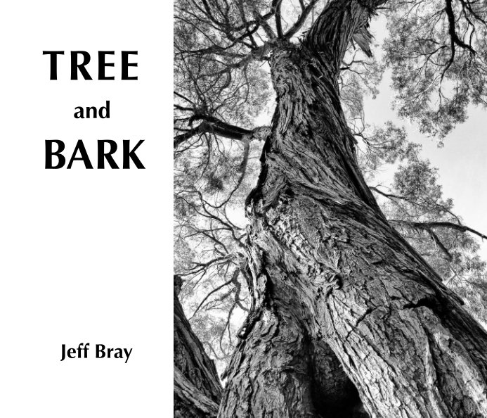 View TREE and BARK by Jeff Bray