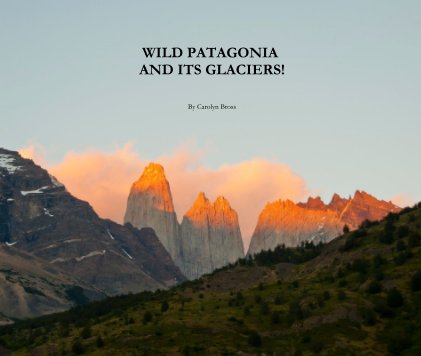 WILD PATAGONIA AND ITS GLACIERS! book cover