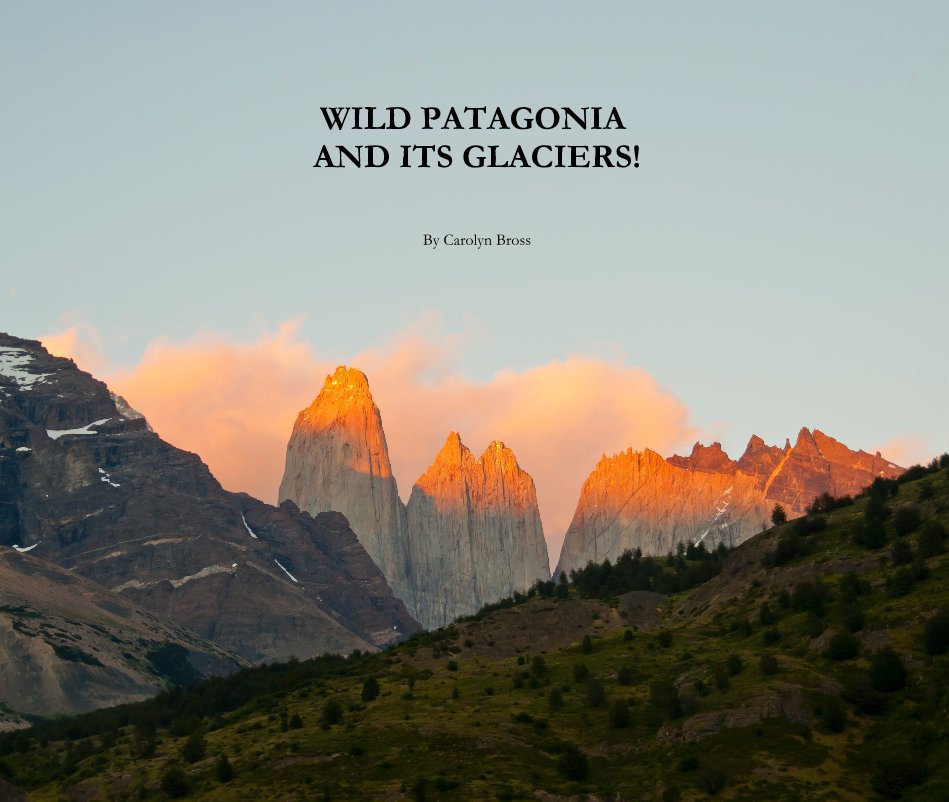 Visualizza WILD PATAGONIA AND ITS GLACIERS! di Carolyn Bross