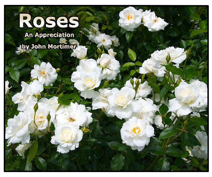 View Roses - An Appreciation by John Mortimer