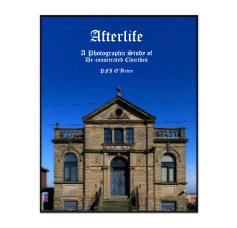 Afterlife book cover