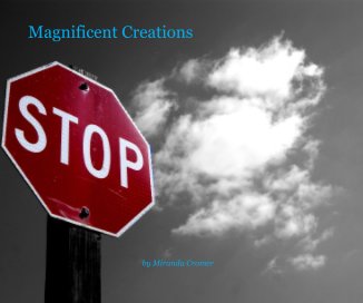 Magnificent Creations book cover