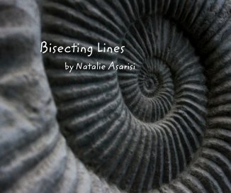 Bisecting Lines book cover