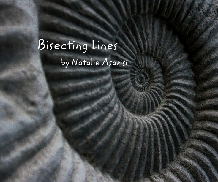 View Bisecting Lines by Natalie Asarisi