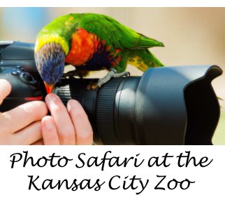 Photo Safari at the Kansas City Zoo book cover