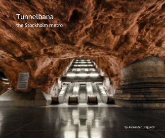 Tunnelbana book cover