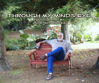 Through My Minds Eye book cover