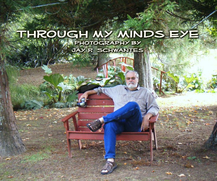 Ver Through My Minds Eye por Jay P. Schwantes