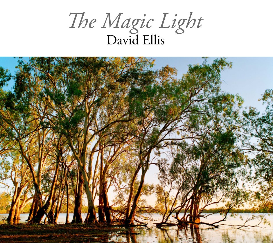 View The Magic Light by David Ellis