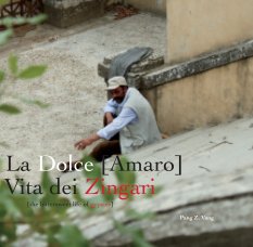 La dolce [amaro] vita dei Zingari book cover