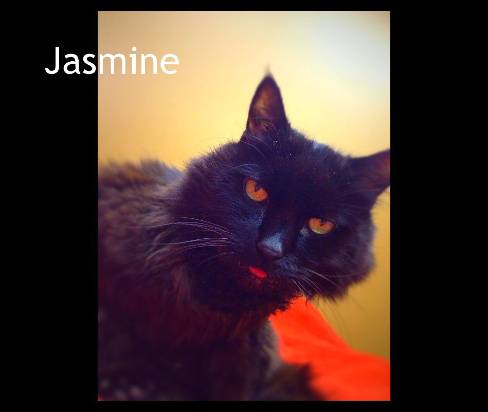 View Jasmine by Scott Carson McDonald