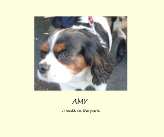 AMY book cover
