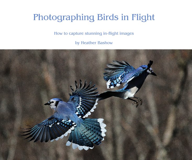 View Photographing Birds in Flight by Heather Bashow