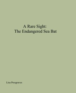 A Rare Sight: The Endangered Sea Bat book cover