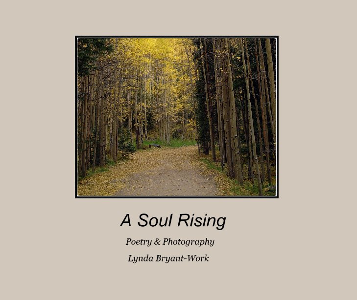 View A Soul Rising by Lynda Bryant-Work