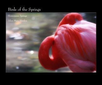 Birds of the Springs book cover