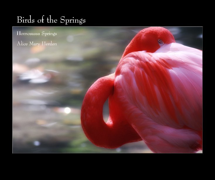 View Birds of the Springs by Alice Mary Herden