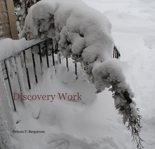 Ver Discovery Work por Debora F. Bergstrom