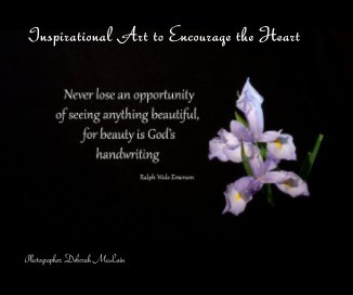 Inspirational Art to Encourage the Heart book cover
