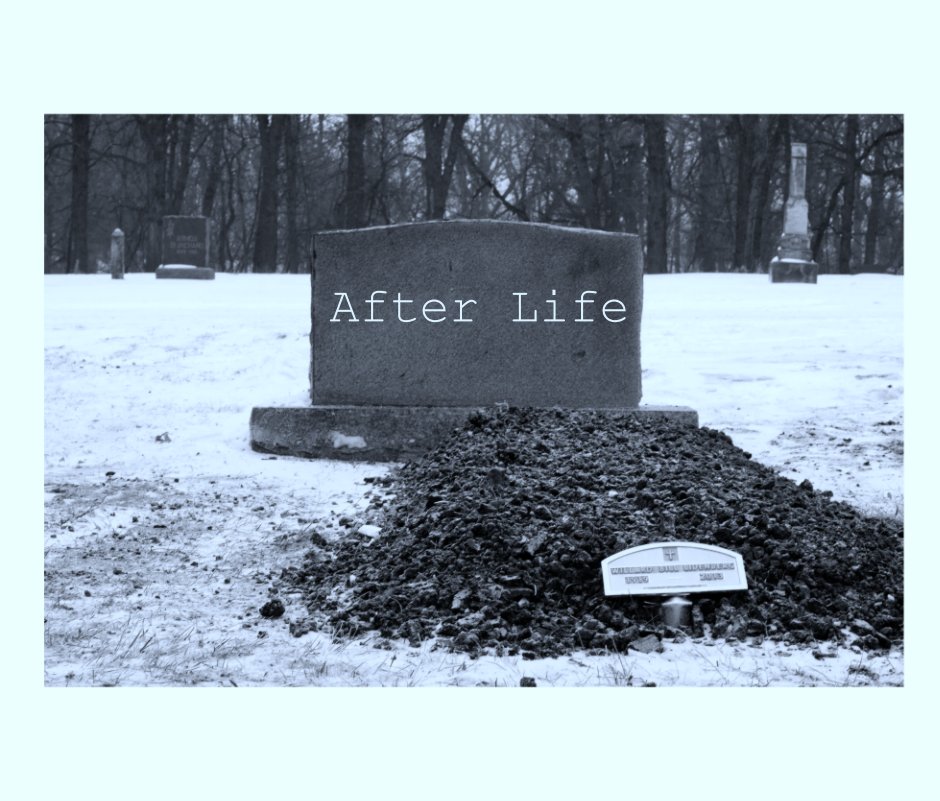 View After Life by Alison Smith