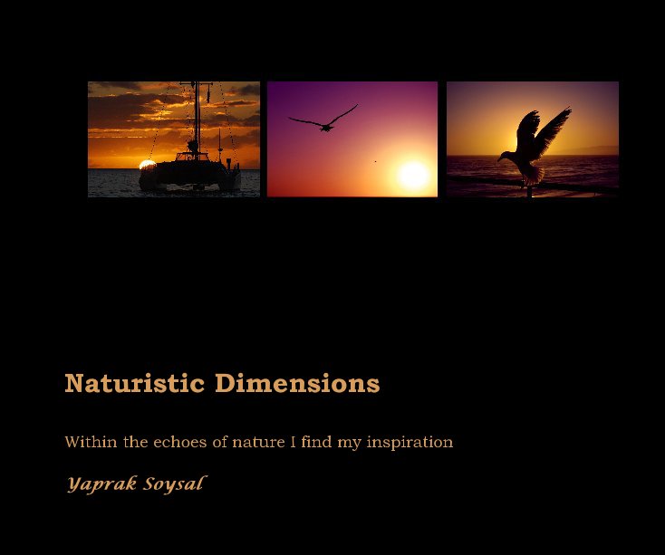 View Naturistic Dimensions by Yaprak Soysal