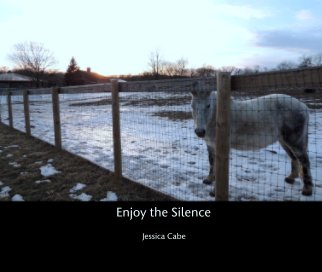 Enjoy the Silence book cover