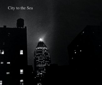 City to the Sea book cover